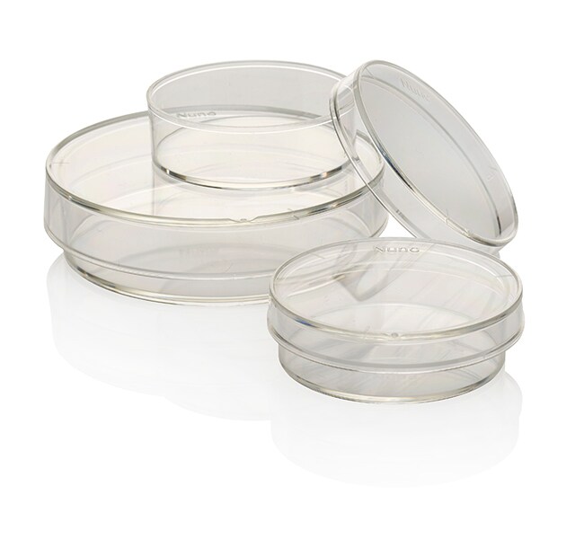 Petri Dishes