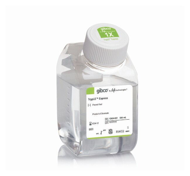 Gibco TrypLE Express Enzyme (1X), No Phenol Red | Al Faiha For