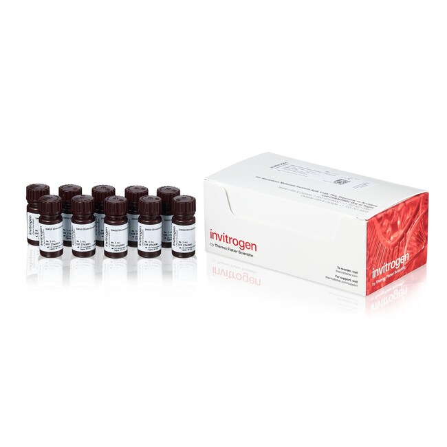 Thermo Fisher Scientific DMSO, Anhydrous