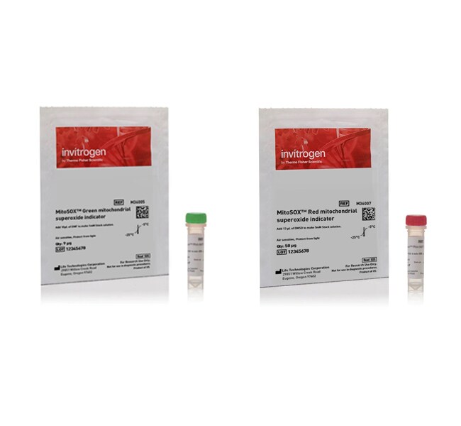 Thermo Fisher Scientific Invitrogen MitoSOX Mitochondrial Superoxide Indicators, for live-cell imaging