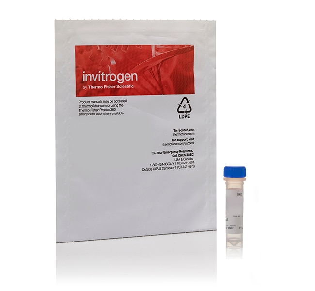 Thermo Fisher Scientific Invitrogen SYTOX Green Nucleic Acid Stain - 5 mM Solution in DMSO