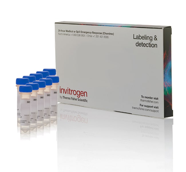 Thermo Fisher Scientific Invitrogen FM 4-64 Dye (N-(3-Triethylammoniumpropyl)-4-(6-(4-(Diethylamino) Phenyl) Hexatrienyl) Pyridinium Dibromide)