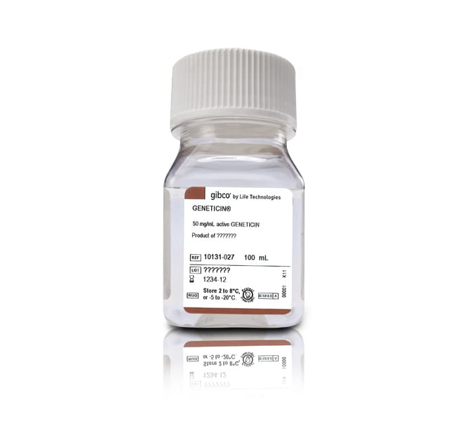 Thermo Fisher Scientific Gibco Geneticin Selective Antibiotic (G418 Sulfate) (50 mg/mL)