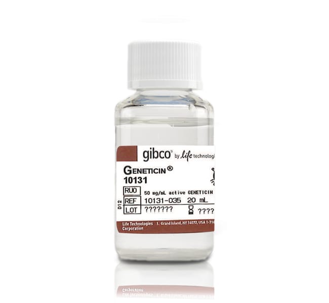 Thermo Fisher Scientific Gibco Geneticin Selective Antibiotic (G418 Sulfate) (50 mg/mL)