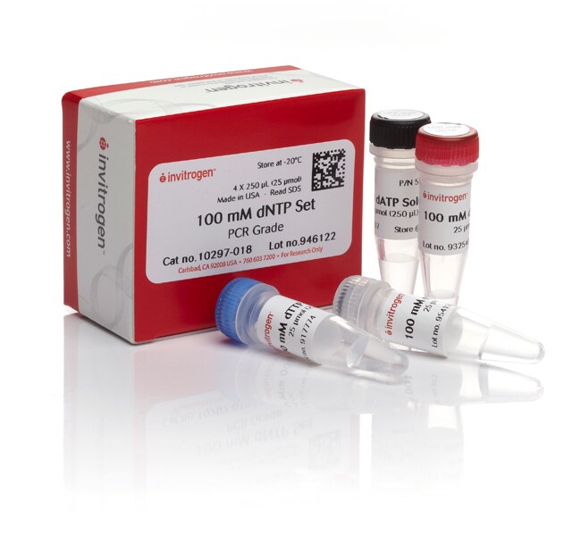 Thermo Fisher Scientific Invitrogen dNTP Set (100 mM)