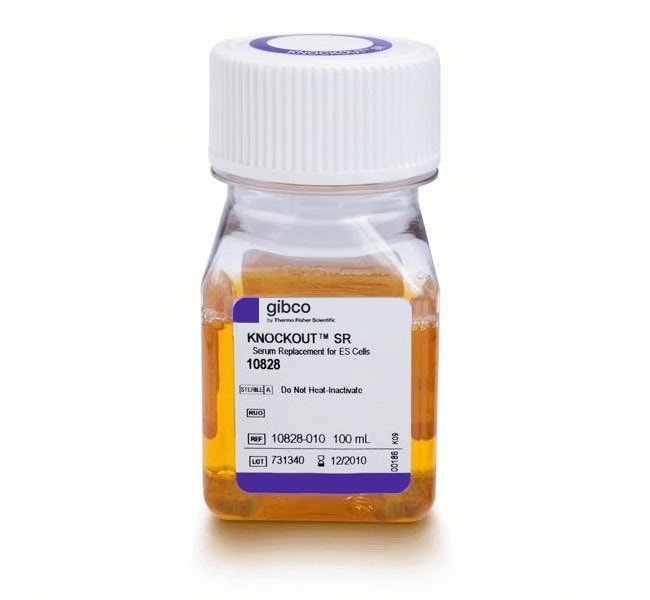 Thermo Fisher Scientific Gibco KnockOut Serum Replacement