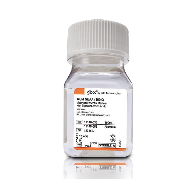Thermo Fisher Scientific MEM Non-Essential Amino Acids Solution (100X)