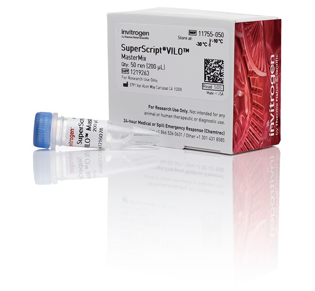 Thermo Fisher Scientific SuperScript VILO Master Mix 250 Reactions
