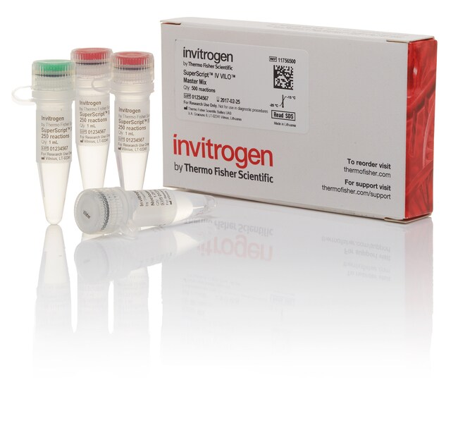 Thermo Fisher Scientific Invitrogen SuperScript IV VILO Master Mix