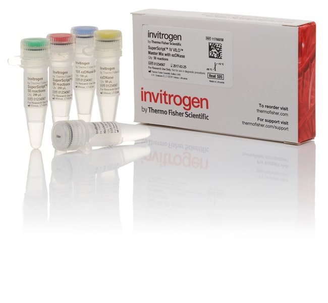 Thermo Fisher Scientific Invitrogen SuperScript IV VILO Master Mix