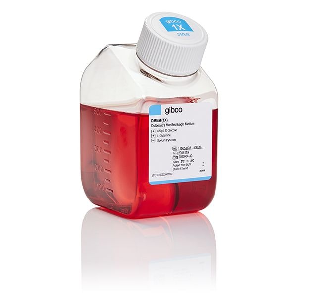 Thermo Fisher Scientific Gibco DMEM, High Glucose