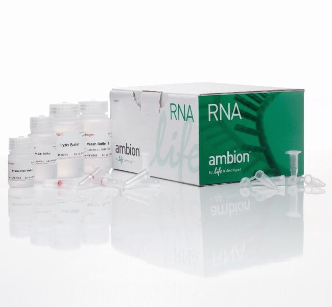 Thermo Fisher Scientific Invitrogen PureLink RNA Mini Kit