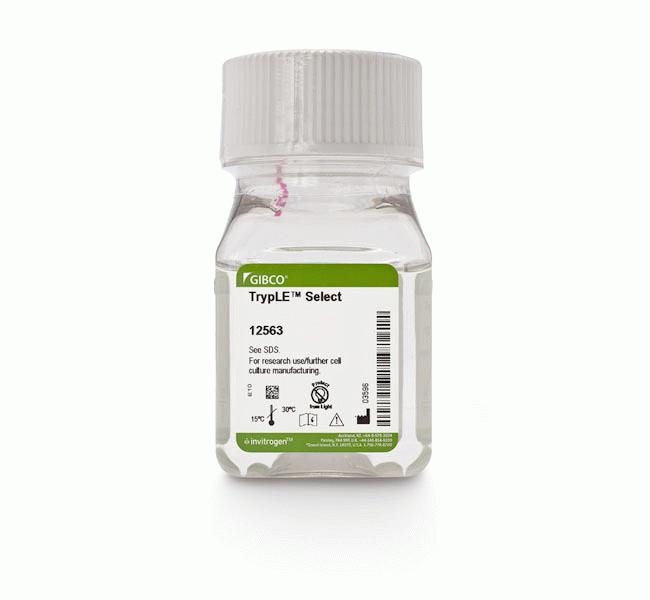 Thermo Fisher Scientific TrypLE Select Enzyme (1X), no phenol red