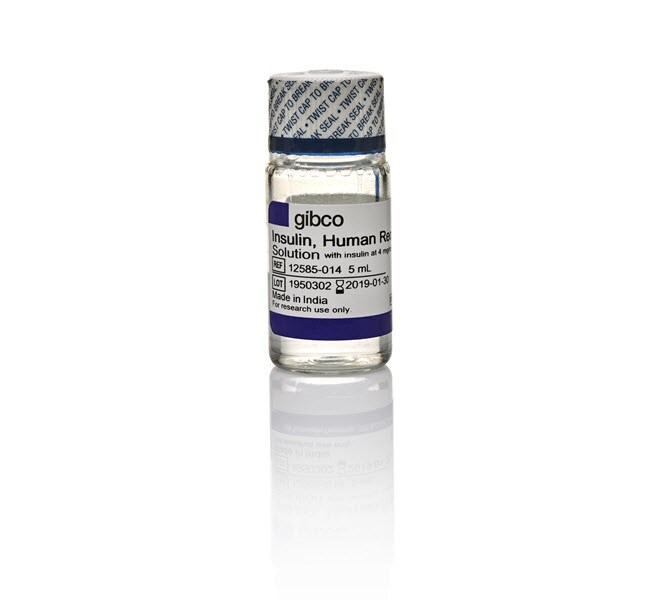 Thermo Fisher Scientific Gibco Insulin, human recombinant, zinc solution
