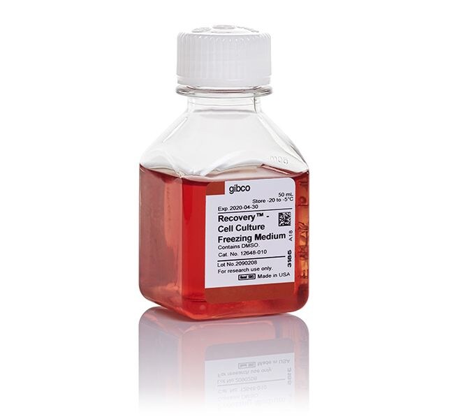 Thermo Fisher Scientific Recovery Cell Culture Freezing Medium