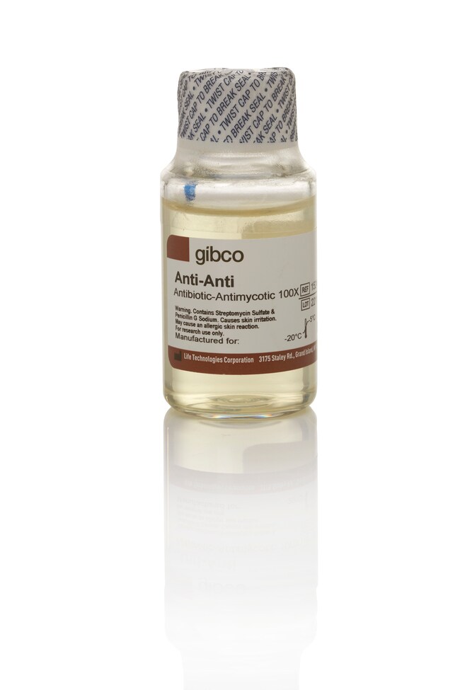 Thermo Fisher Scientific Gibco Antibiotic-Antimycotic (100X)