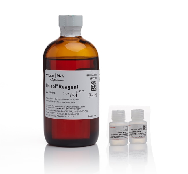 Thermo Fisher Scientific Invitrogen TRIzol Max Bacterial RNA Isolation Kit