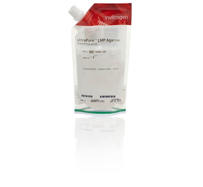 Thermo Fisher Scientific Invitrogen UltraPure Low Melting Point Agarose