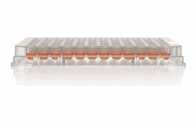 Thermo Fisher Scientific Nunclon Sphera 96-Well, Nunclon Sphera-Treated, U-Shaped-Bottom Microplate