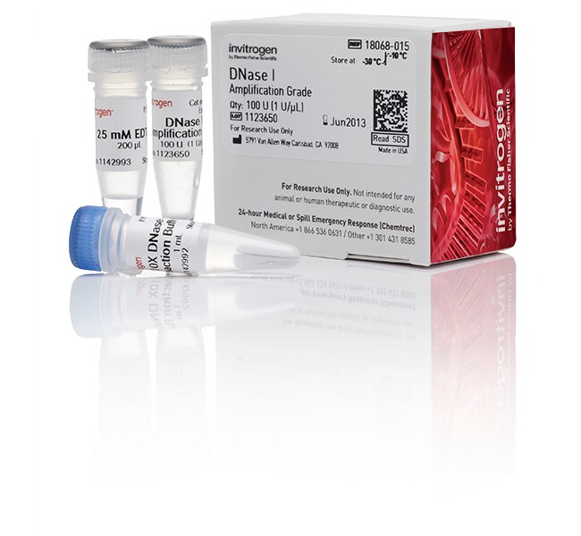 Thermo Fisher Scientific Invitrogen DNase I, Amplification Grade