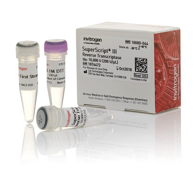 Thermo Fisher Scientific SuperScript III Reverse Transcriptase