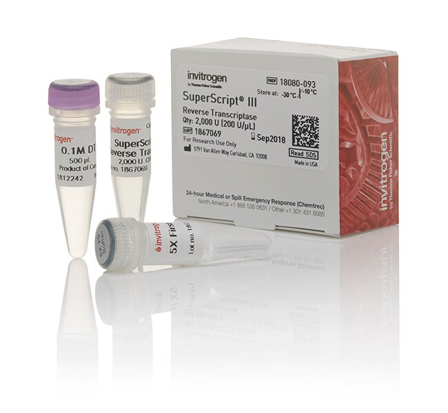 Thermo Fisher Scientific SuperScript III Reverse Transcriptase