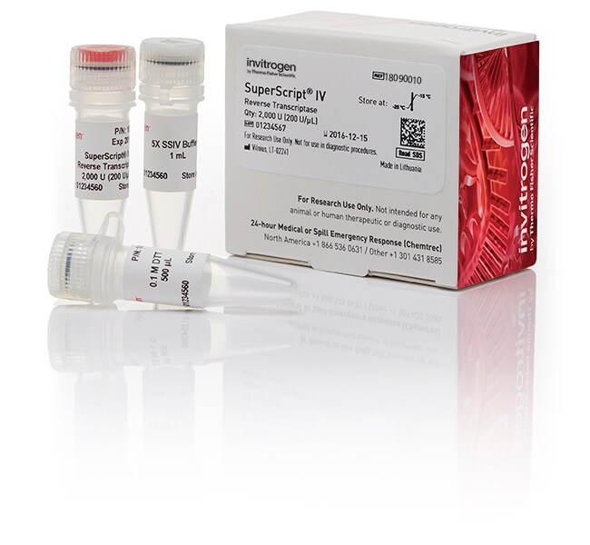 Thermo Fisher Scientific Invitrogen SuperScript IV Reverse Transcriptase