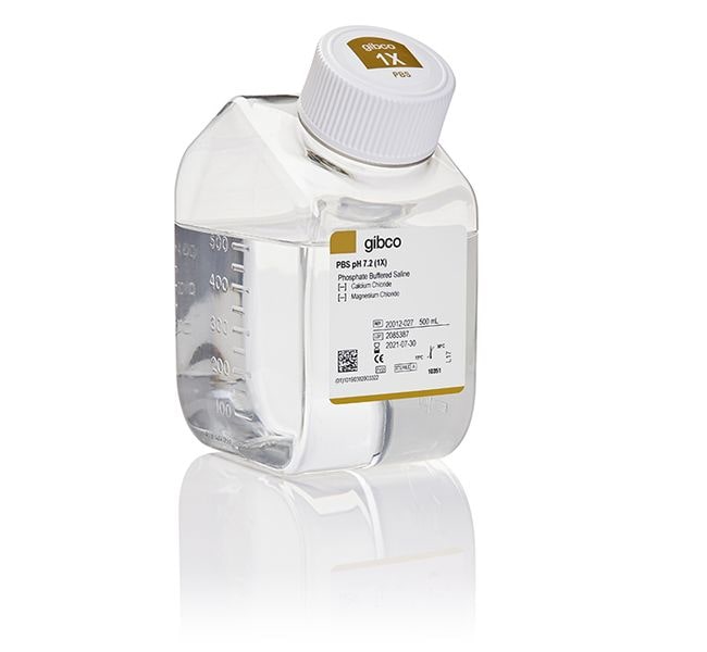 Thermo Fisher Scientific PBS, pH 7.2