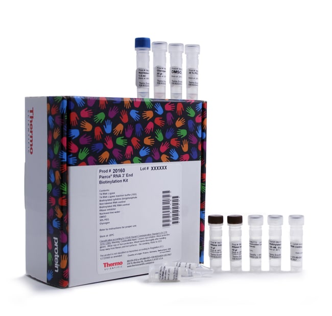 Thermo Fisher Scientific  Pierce RNA 3' End Biotinylation Kit