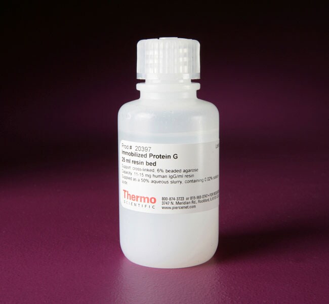 Thermo Fisher Scientific  Pierce Protein G Agarose