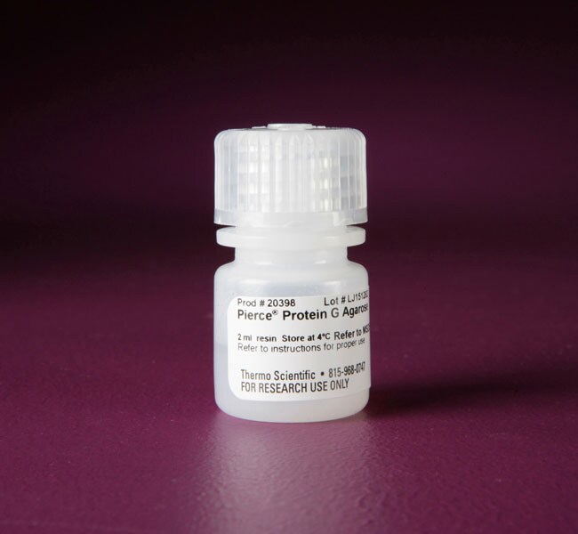 Thermo Fisher Scientific  Pierce Protein G Agarose