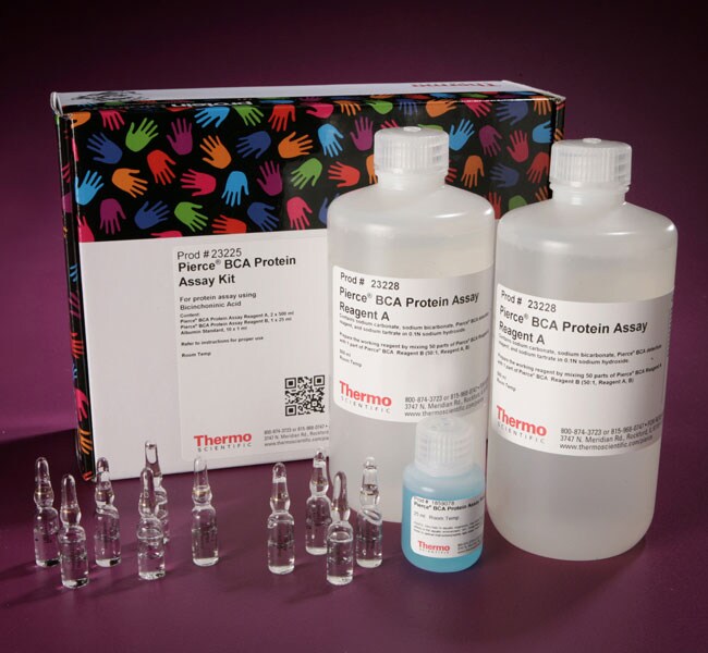 Thermo Fisher Scientific  Pierce BCA Protein Assay Kits
