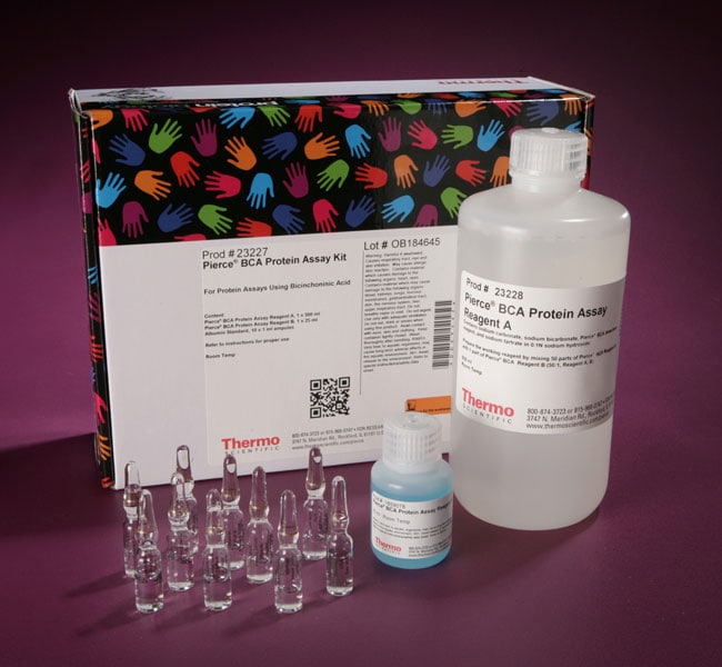 Thermo Fisher Scientific  Pierce BCA Protein Assay Kits