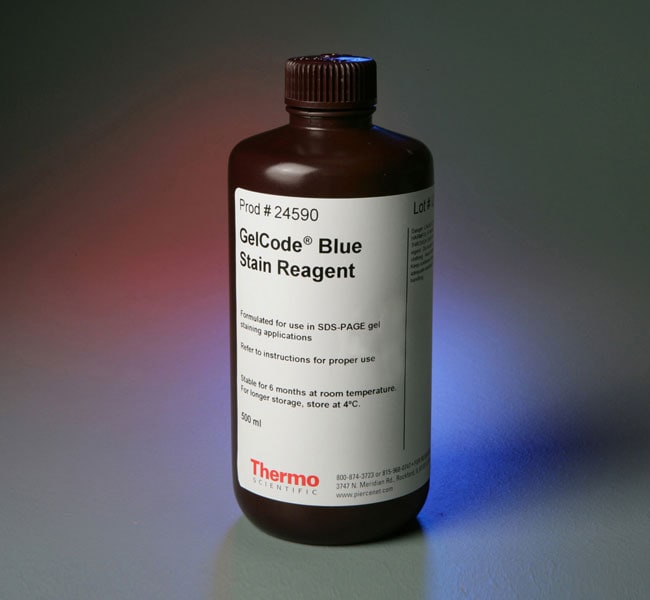 Thermo Fisher Scientific  GelCode Blue Stain Reagent