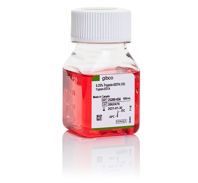 Thermo Fisher Scientific Gibco Trypsin-EDTA (0.25%), phenol Red