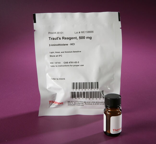 Thermo Fisher Scientific  Pierce Traut's Reagent (2-iminothiolane)