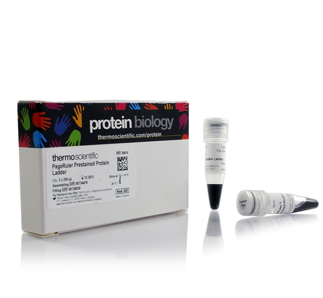Thermo Fisher Scientific  PageRuler Prestained Protein Ladder, 10 to 180 kDa