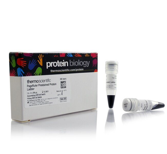 Thermo Fisher Scientific  PageRuler Prestained Protein Ladder, 10 to 180 kDa