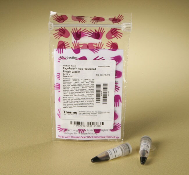 Thermo Fisher Scientific  PageRuler Plus Prestained Protein Ladder, 10 to 250 kDa
