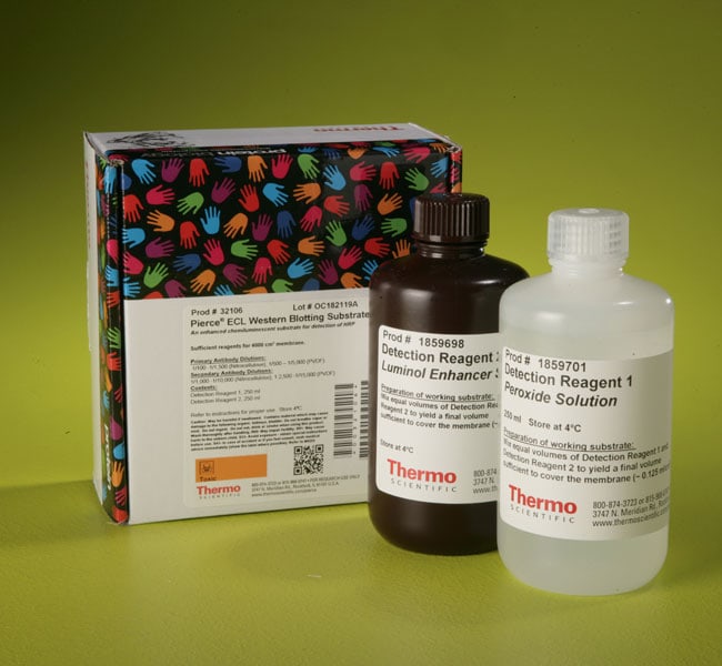 Thermo Fisher ScientificPierce ECL Western Blotting Substrate