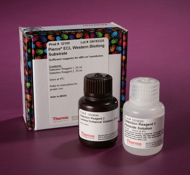 Thermo Fisher ScientificPierce ECL Western Blotting Substrate