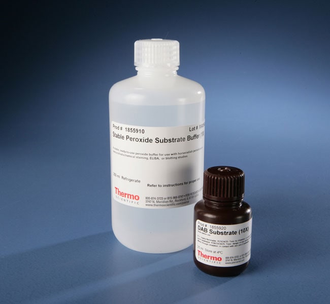 Thermo Fisher Scientific  Pierce DAB Substrate Kit