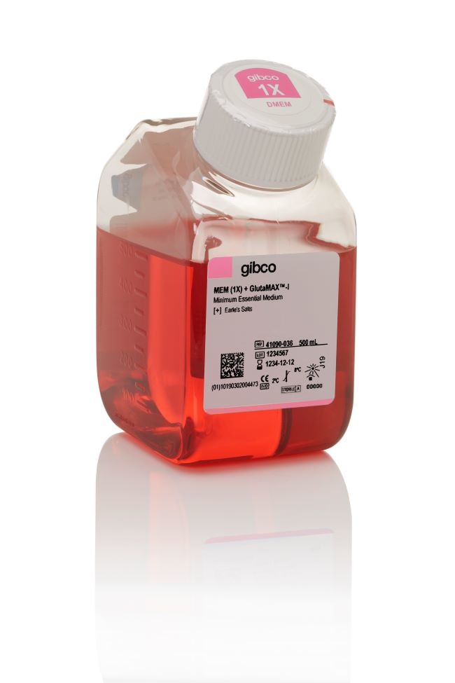 Thermo Fisher Scientific Gibco MEM, GlutaMAX Supplement