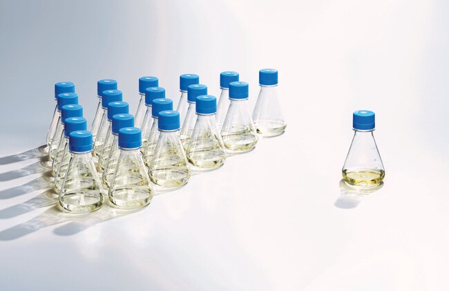 Thermo Fisher Scientific Nalgene Single-Use PETG Erlenmeyer Flasks, Plain Bottom, Sterile, 1,000mL