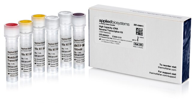 Thermo Fisher Scientific Applied Biosystems High-Capacity cDNA Reverse Transcription Kit