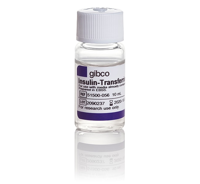 Thermo Fisher Scientific Gibco Insulin-Transferrin-Selenium-Ethanolamine (ITS -X) (100X)