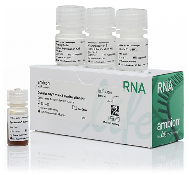 Thermo Fisher Scientific Invitrogen Dynabeads mRNA Purification Kit (for mRNA purification from total RNA preps)