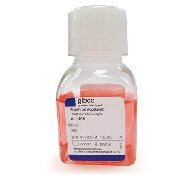 Thermo Fisher Scientific Gibco StemPro Accutase Cell Dissociation Reagent