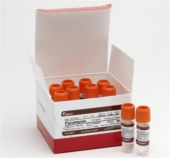 Thermo Fisher Scientific Gibco Puromycin Dihydrochloride