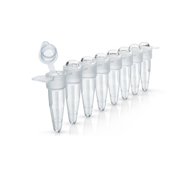 Thermo Fisher Scientific MicroAmp 8-Tube Strip with Attached Domed Caps, 0.2mL
